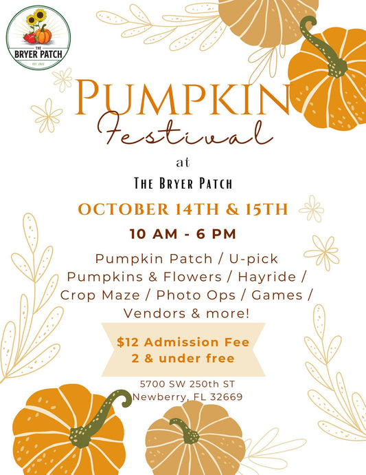 Pumpkin Festival Oct 14th & 15h - Newberry, FL