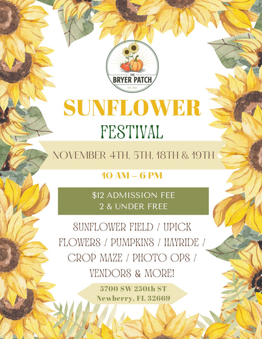 Sunflower Festival - November 4th & 5th